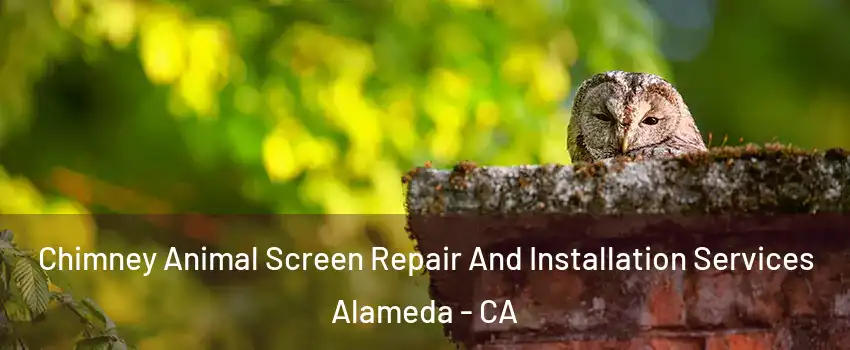  Chimney Animal Screen Repair And Installation Services Alameda - CA