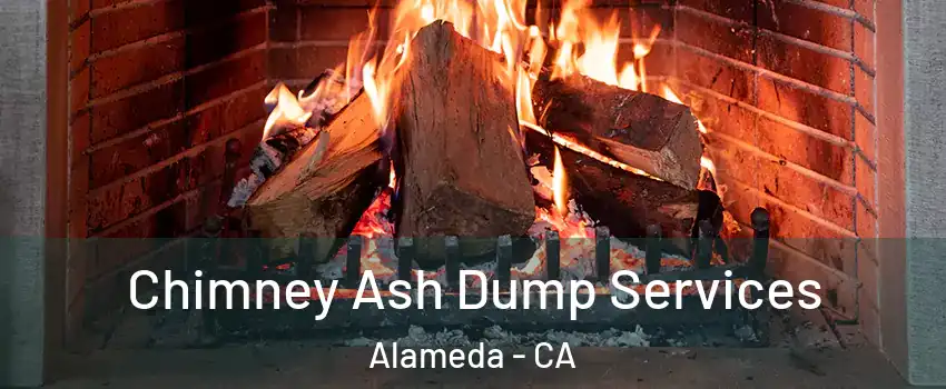  Chimney Ash Dump Services Alameda - CA