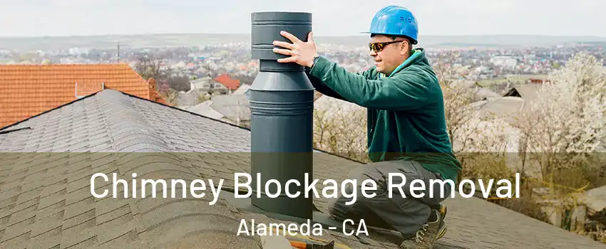  Chimney Blockage Removal Alameda - CA