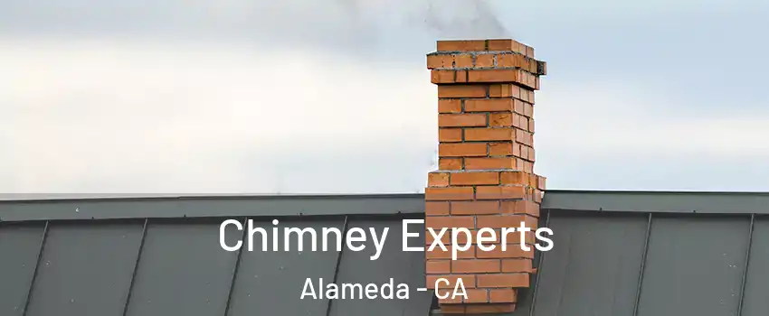 Chimney Experts Alameda - CA