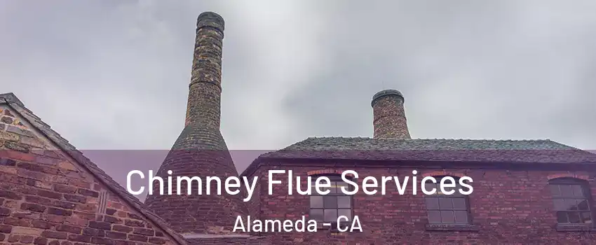  Chimney Flue Services Alameda - CA