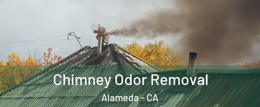  Chimney Odor Removal Alameda - CA