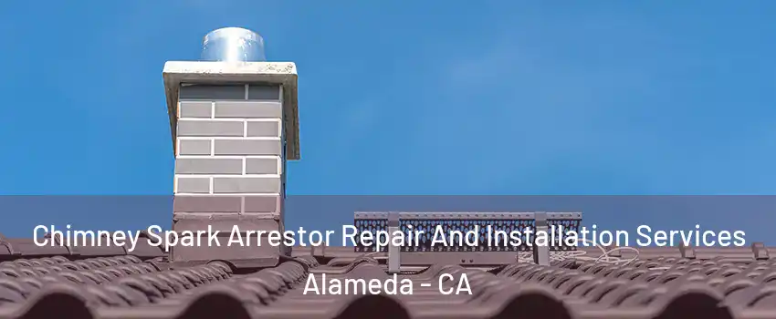  Chimney Spark Arrestor Repair And Installation Services Alameda - CA