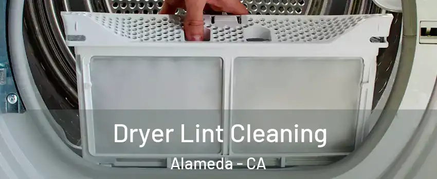  Dryer Lint Cleaning Alameda - CA