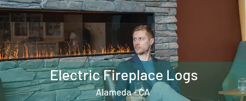  Electric Fireplace Logs Alameda - CA
