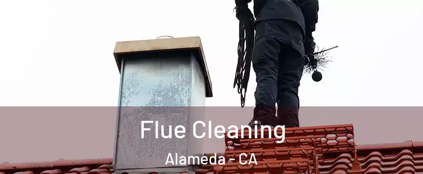  Flue Cleaning Alameda - CA