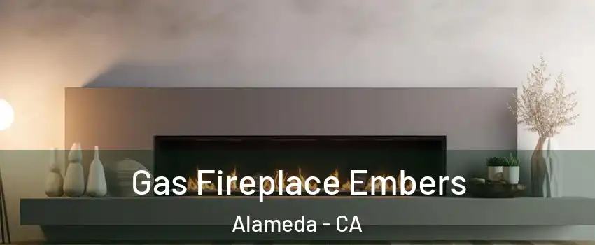  Gas Fireplace Embers Alameda - CA