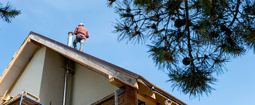 Birds Removal Contractors from Chimney in Alameda, CA