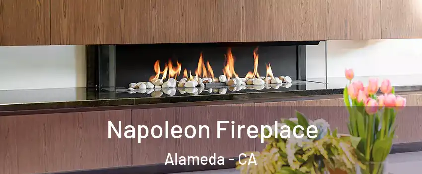  Napoleon Fireplace Alameda - CA