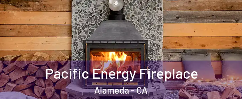  Pacific Energy Fireplace Alameda - CA